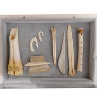 Werkzeuge und Objekte aus Knochen